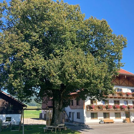 Biohof-Feichtinger Appartement Zell am Moos Buitenkant foto