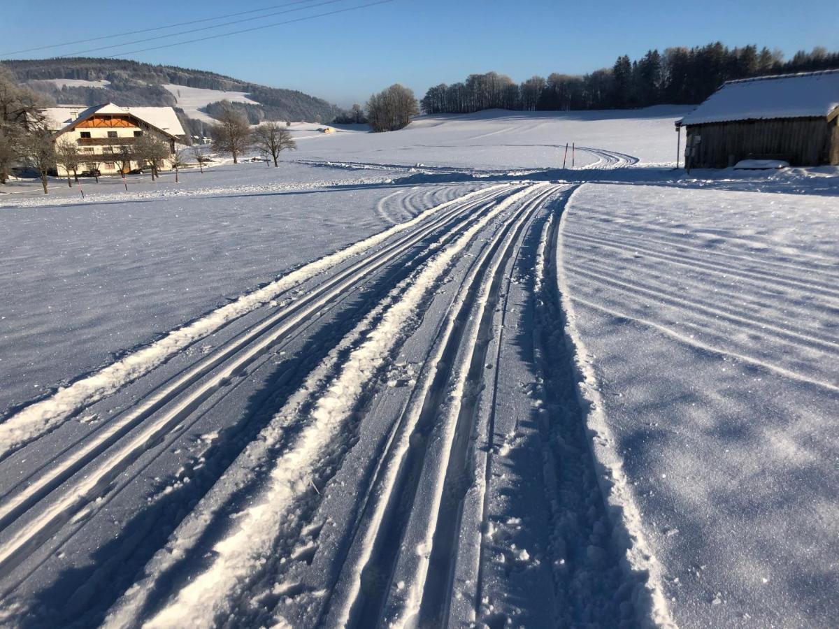 Biohof-Feichtinger Appartement Zell am Moos Buitenkant foto