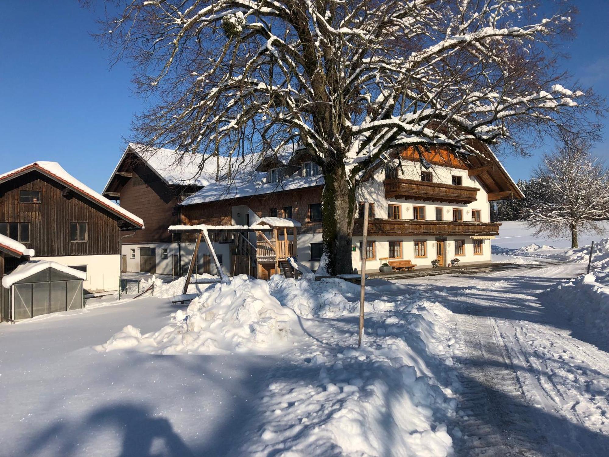 Biohof-Feichtinger Appartement Zell am Moos Buitenkant foto