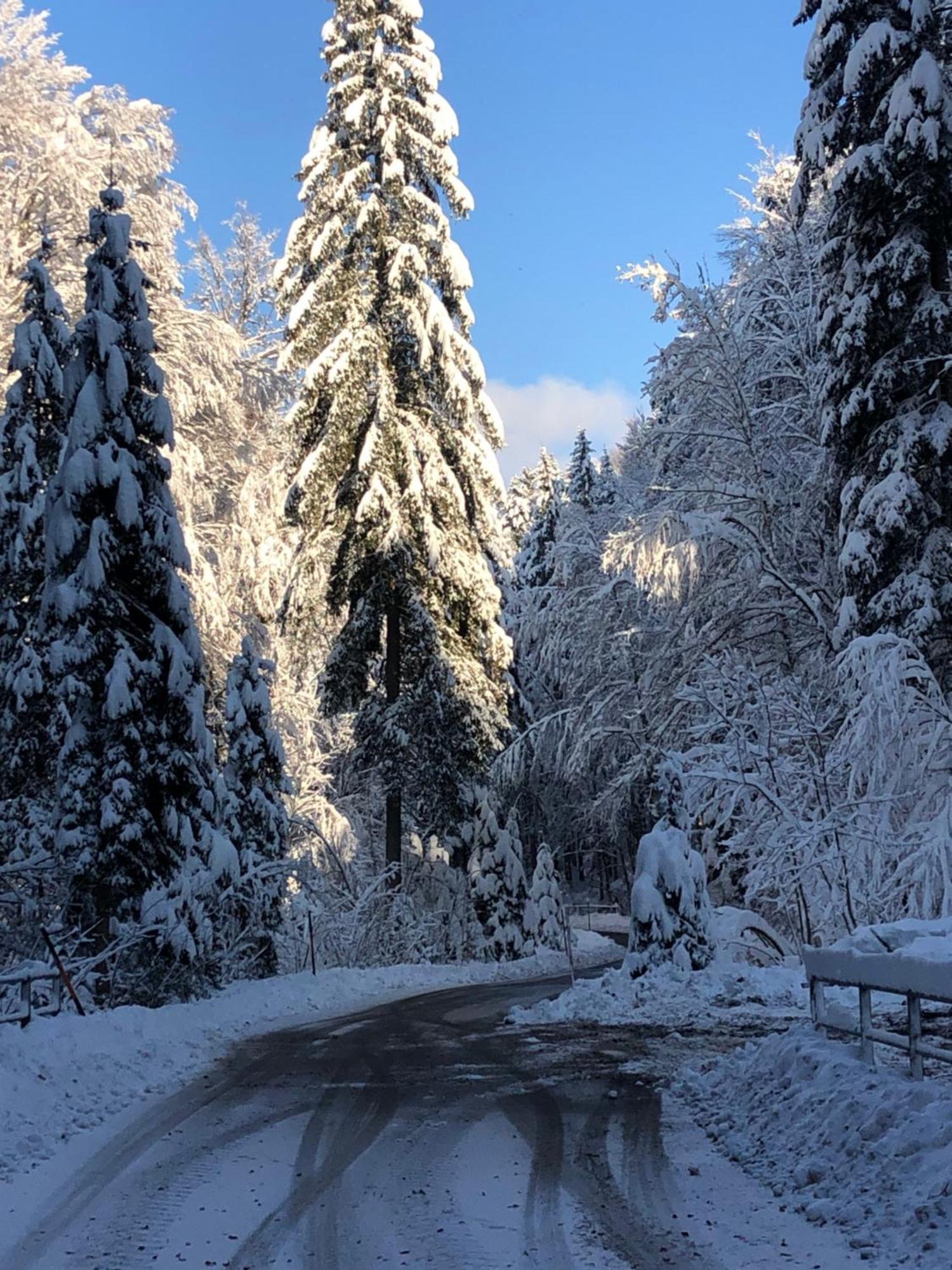 Biohof-Feichtinger Appartement Zell am Moos Buitenkant foto